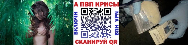 blacksprut онион  Новомичуринск  Альфа ПВП СК КРИС 