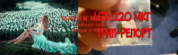 ГАЛЛЮЦИНОГЕННЫЕ ГРИБЫ Новодвинск