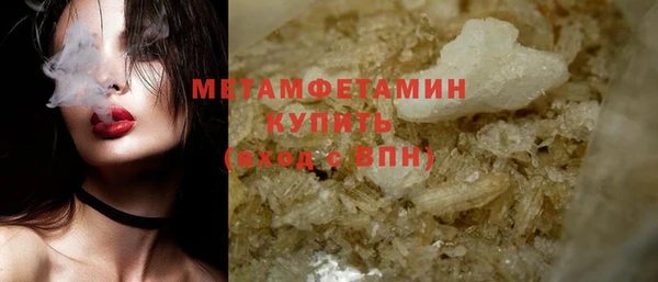 крисы Новозыбков