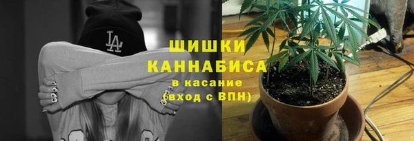 ГАЛЛЮЦИНОГЕННЫЕ ГРИБЫ Новодвинск