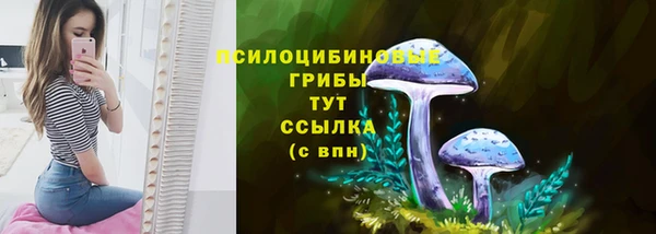 крисы Новозыбков