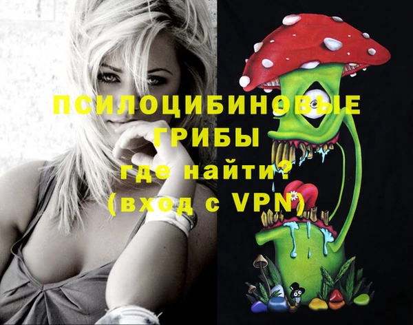 крисы Новозыбков