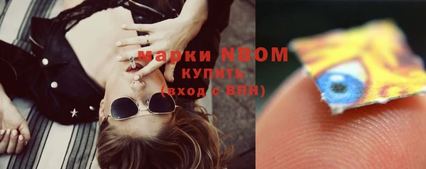 крисы Новозыбков