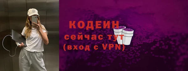 крисы Новозыбков