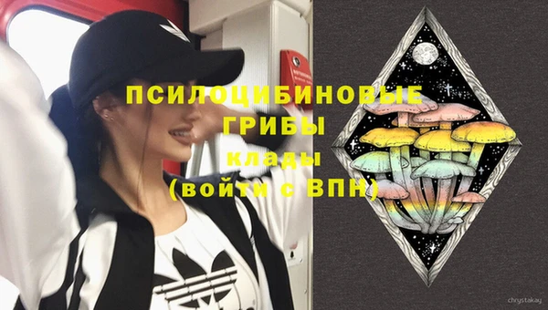 PSILOCYBIN Новокубанск