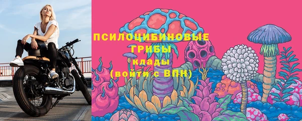 ГАЛЛЮЦИНОГЕННЫЕ ГРИБЫ Новодвинск