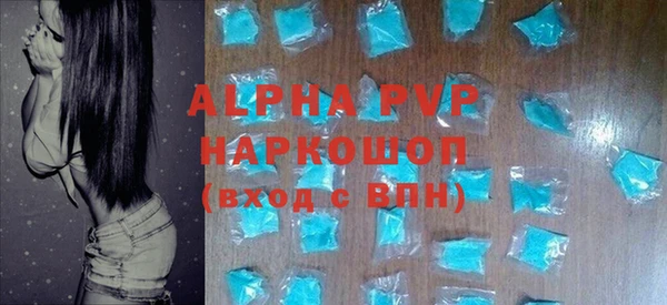 крисы Новозыбков