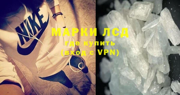 ГАЛЛЮЦИНОГЕННЫЕ ГРИБЫ Новодвинск
