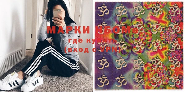 крисы Новозыбков