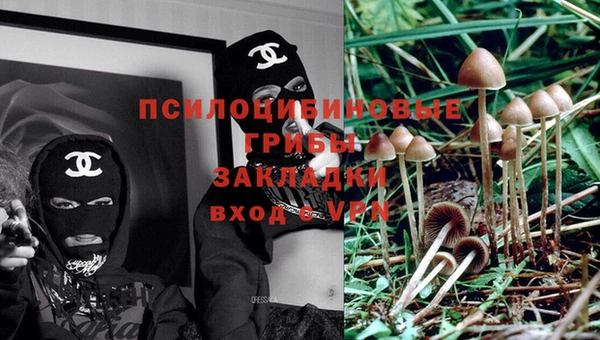 ГАЛЛЮЦИНОГЕННЫЕ ГРИБЫ Новодвинск