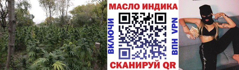 ТГК гашишное масло  OMG маркетплейс  Новомичуринск 